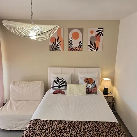 Apartment Studiog-4 Elegant Balcon Clim Parking Univ Oncopol